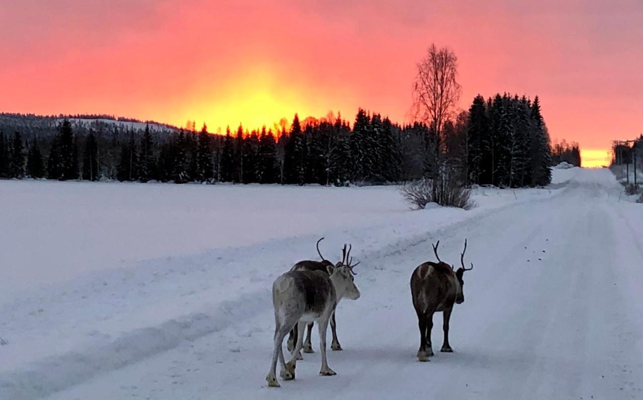 Kaetkae Lake Lodge Tervola Екстер'єр фото