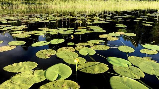 Kaetkae Lake Lodge Tervola Екстер'єр фото